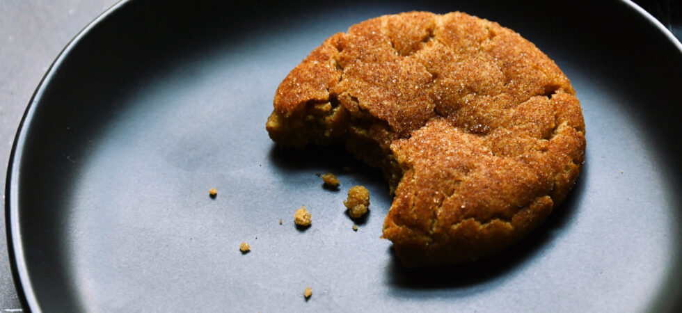 Single toasted milk powder snickerdoodle with a bite taken out of it