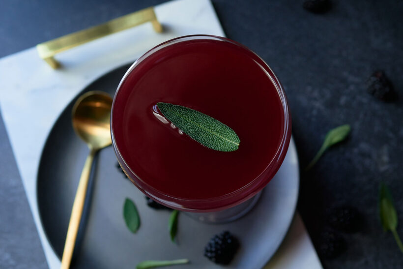 Mezcal Blackberry Shrub cocktail