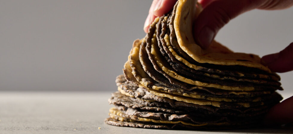 Fanning a finished stack of corn tortillas that were made with lard.